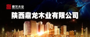 公司介绍